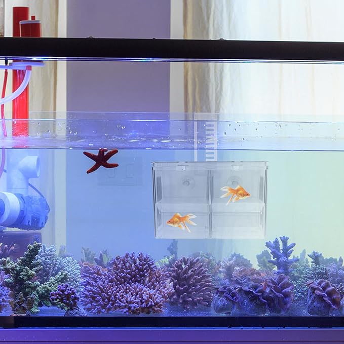 BESPORTBLE Fish Breeding Hatchery Box with Hooks, Aquarium Isolation Nursery Tank, Dual-Chamber Incubator for Tropical Fish Fry and Guppy Breeding in Home Aquariums