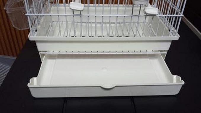 I064B All White Song Bird CAGE