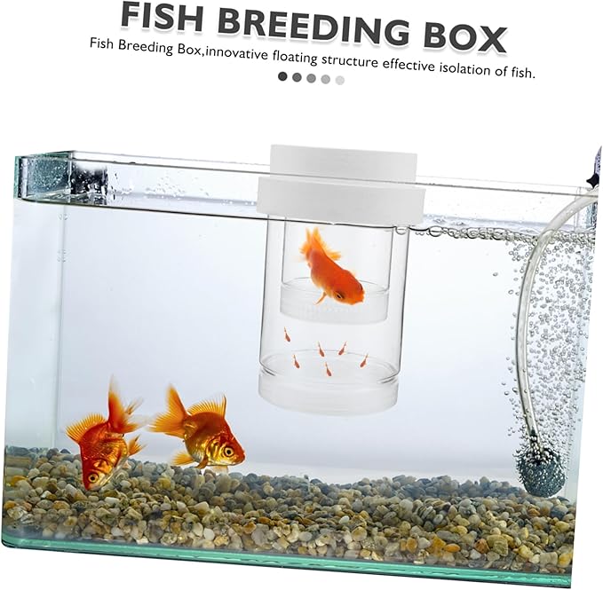 UPKOCH 1 Set Fish Breeding Box: Floating Fish Isolation Box for Aquarium - Breeding and Hatching Incubator for Clownfish Guppy Betta Shrimp