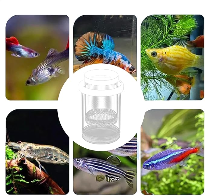 Floating Fish Isolation Box for Fish Tank, Floating Aquarium Breeder Hatching Box Clear Egg Isolation Net Incubation Boxes for Clownfishes Betta Guppy