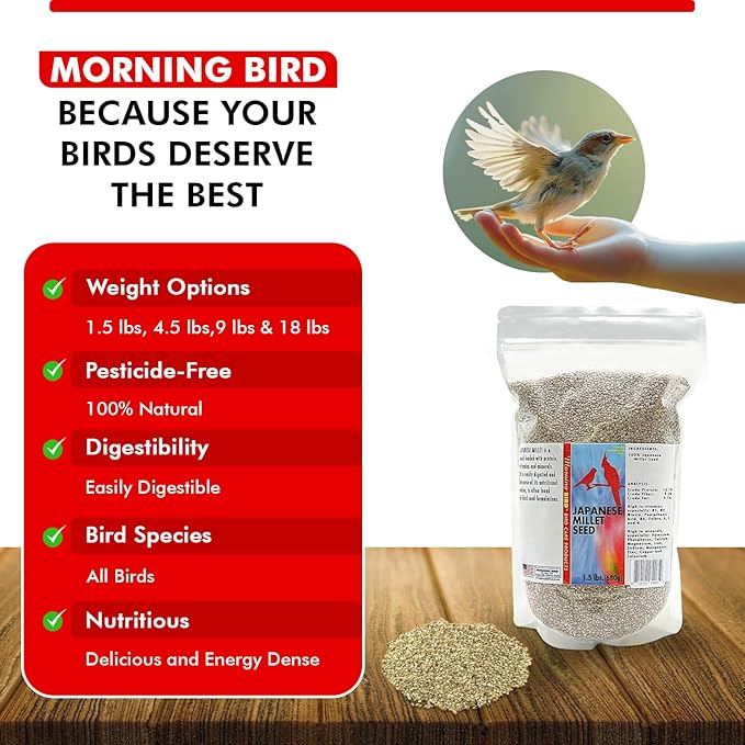 Morning Bird Japanese Millet Seed Bag 1.5 lbs - Healthy & Nutritious Pet Bird Food to Support Health & Immunity - Delicious Unique and Natural Flavor – Ideal Bird Feed for All Seed Eating Birds