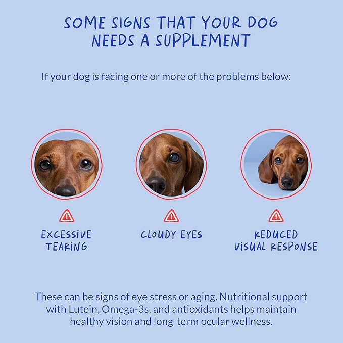 Eye Support for Dogs - 90 Soft Chews - Dog Supplements for Vision, Eye Vitamins for Dogs, with Cod Liver Oil Antioxidant, Dog Omega Supplement, Omega 3 EPA and DHA Fatty Acids.