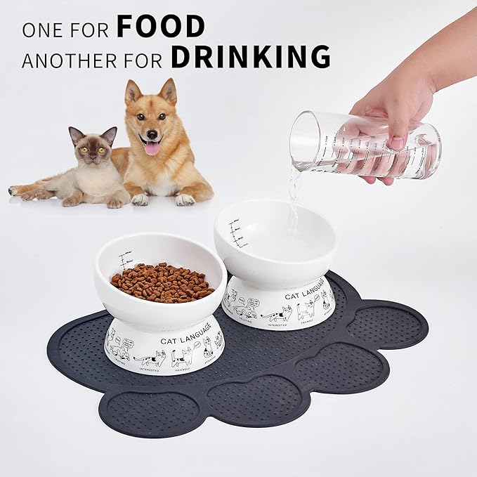 Ceramic Raised Cat Bowls | Tilted Elevated Bowl for Food and Water | Small Dog Bowl With Anti-Slip Silicone Pet Food Mat | 2 Pack Black Set