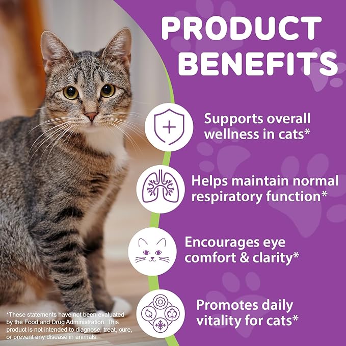 L-Lysine Drops for Cats, Lysine Supplement for Cats, Support Immune System, Respiratory Health & Eyes Function, Skin & Coat Health, Pets Health Supplies Cat Multivitamins, Chicken Flavor - 2 fl.oz