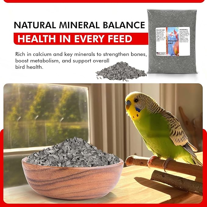 Morning Bird Poultry Grit for Birds 9 lbs - Mineral-Rich Supplement for Digestion & Calcium Support - Natural Poultry Feed Additive and Chicken Grit for Healthy Birds