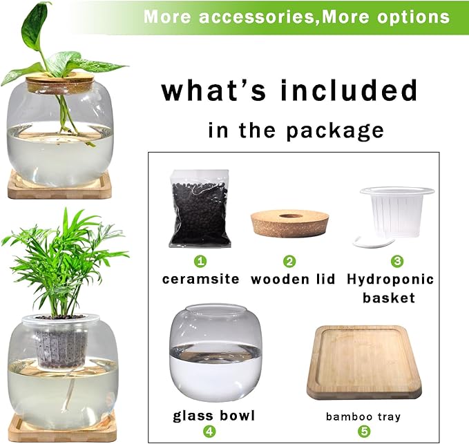 Fish Bowl Glass Small Betta Fish Tank with Bamboo Stand, Plant Propagation Station Hydroponic Terrarium with Lid Small Aquarium 0.6 Gallon