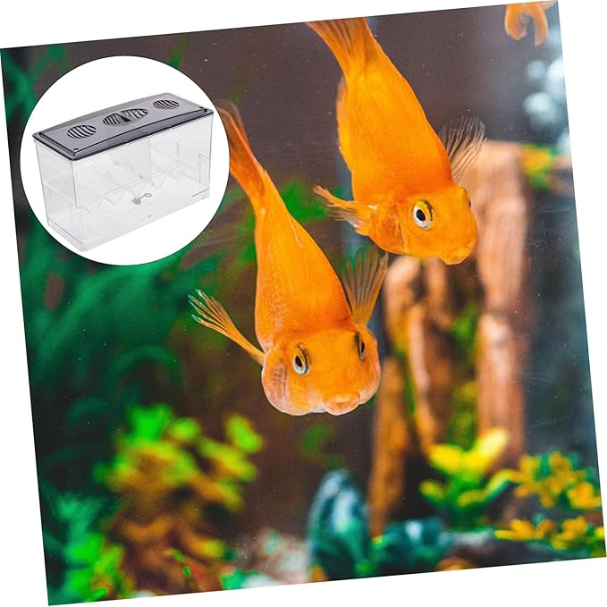 BESPORTBLE Acrylic Aquarium Breeding Box Fish Tank Isolator Multi-Function Incubation Case
