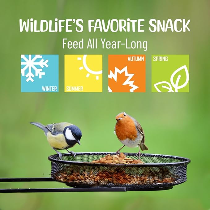 Premium Quality Raw Out of Shell Peanuts - 1 Pound - Shelled Peanuts for Birds – Wildlife Quality - Food for Squirrels, Deer, Birds, and Other Wildlife Animals – Grown in The USA