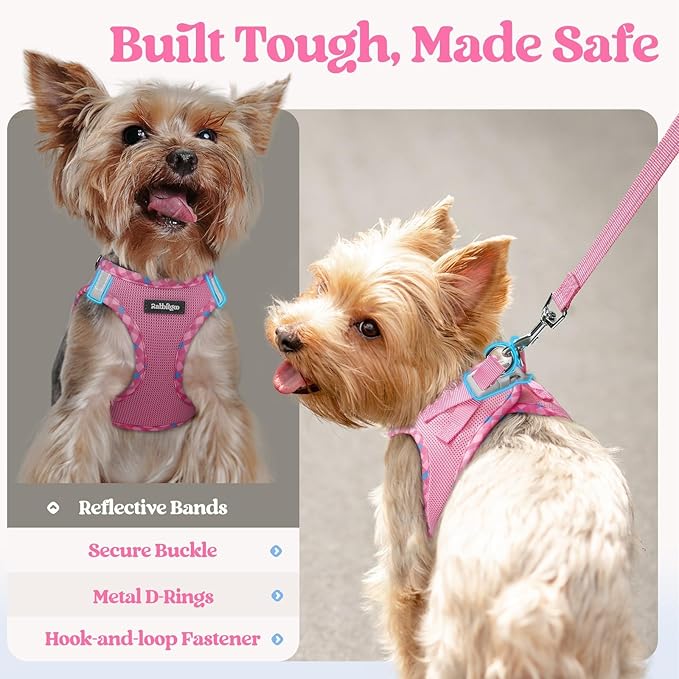 rabbitgoo Dog Harness Small Sized and Leash Set, Step in Soft Light Puppy Vest, Breathable Mesh Pet Harness, Reflective for Safe Easy Walking, Pink & Plaid Trim XS