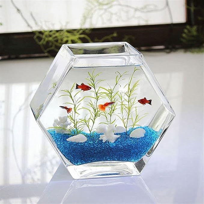 Fish Bowl Fish Tank Small Hexagonal Aquarium Tank Glass Transparent Desktop Small Fish Tank Tropical Fish Tank Ecological Tank Aquariums