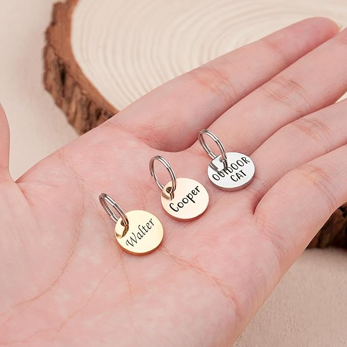 Anavia Small Size Dog Cat ID Tags, Small/XS Personalized Color Plated Stainless Steel Puppy Kitten Name Tags, Customized Engraved Nameplate Pet Collar Tag (Silver, XS-Round)
