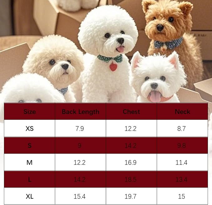 4 Pcs Cat Shirts Solid Color Dog Clothes Summer Sleeveless Pet T Shirts for Small Pet Dogs Cat (Black,Grey,Red,Orange, Medium)