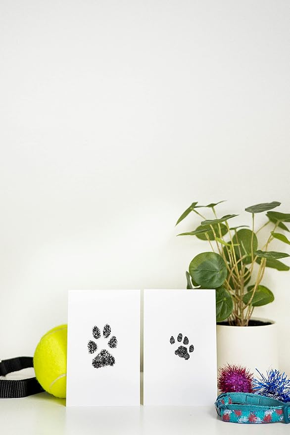 Pearhead Paw Print Clean-Touch Ink Pad, Mess Free Inkless Pet Impression Kit, Safe for Cats and Dogs, Pawprint Keepsake, Pack of 2