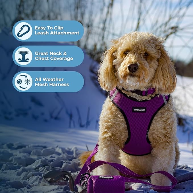 Best Pet Supplies Voyager Step-in Air Harness - All Weather Mesh, Reflective, No Pull Harness for Dogs, Cats - Secure with Hook & Loop Fastener, Buckle, Double D-Rings - Purple/Black Trim, XXS