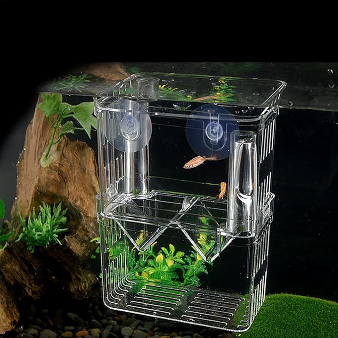 1/2 Fish Breeding Box - Aquarium Breeder Box, Fish Acclimation Box with 2 Suction Cups | Easily Install Fish Isolation Box, Acrylic Aquarium Hatchery Incubator for Baby Fishes Shrimp Betta Guppy