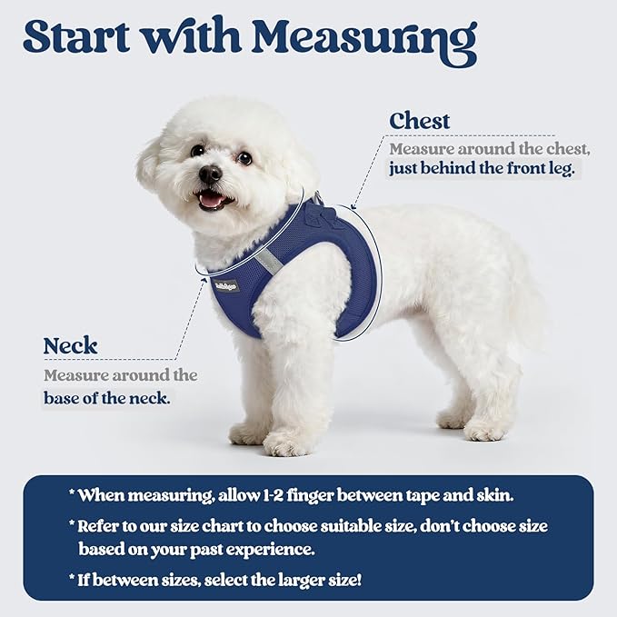 rabbitgoo Dog Harness Small Sized and Leash Set, Step in Soft Light Puppy Vest, Breathable Mesh Pet Harness, Reflective for Outdoor Safe Walking, Navy Blue XXL