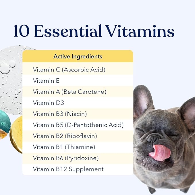 Honest Paws (90 Count) Dog Multivitamin Soft Chews with 10 Essential Vitamins - Joint, Coat, Immune, Eye & Heart Support - with Glucosamine, Chondroitin & Omega-3 - Beef Flavor (Pack of 2)