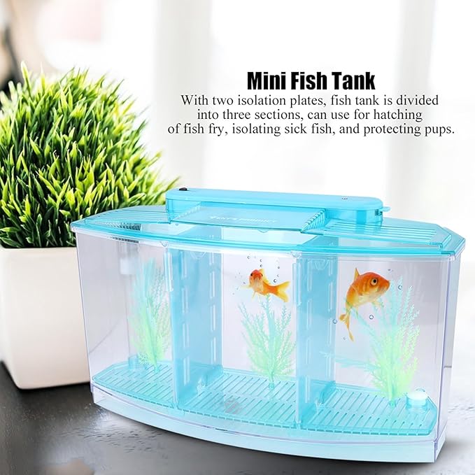 GLOGLOW TripleChamber Fish Breeder Box for Aquarium, Breeding Tanks Transparent LED Acrylic Small Fishes Breeding Isolation Box with Six LED Lights and Water Change Valve Breeder (Blue)