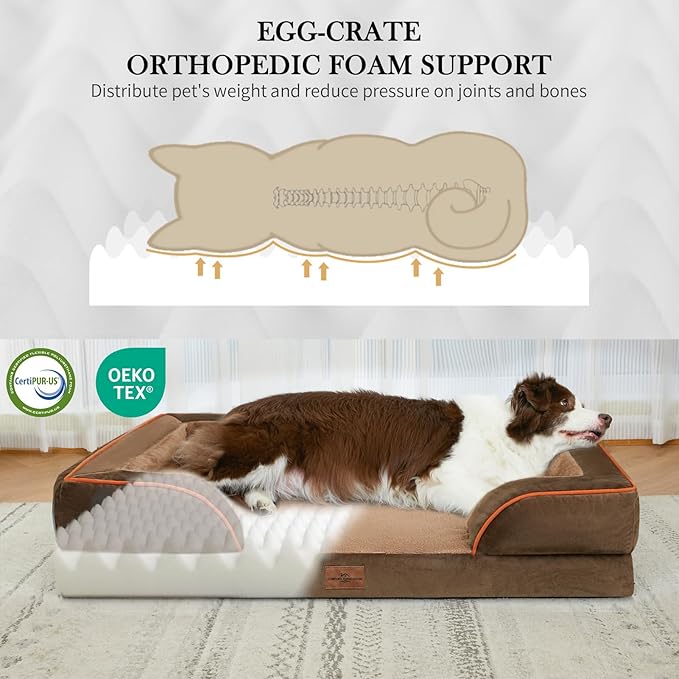 Comfort Expression Orthopedic Dog Bed for Large Dogs 38x25 Inch, Waterproof Supportive Egg Crate Foam Large Pet Bed with Removable Bolsters, Dog Couch with Washable Cover & Non-Slip Bottom, Brown