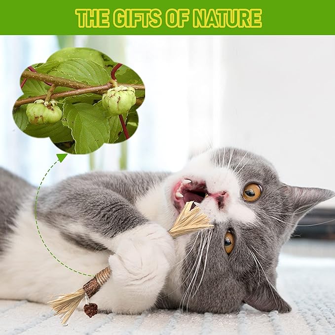 BAWAN Catnip Toys‖ Silvervine for Cats: Cute Cat & Kitten Toys for Indoor Cats Interactive‖ Cat & Kitten Teething Chew Toys for Aggressive Chewers‖ Silvervine Sticks Ca.t Dental Toy (5PCS)