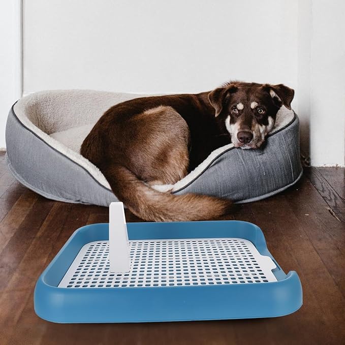 Dog Potty Tray with Wall Post: Indoor Puppy Training Toilet Blue Plastic Mesh Grate, Pee Pad Holder for Male Dogs, Keeps Paws Dry, Portable Pet Litter Box for Apartment