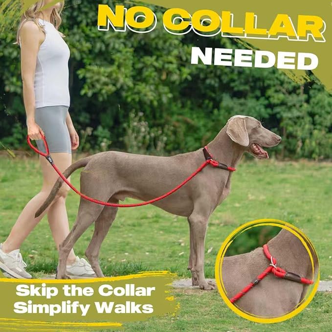Fida Durable Slip Lead Dog Leash, 6 FT x 1/2" Heavy Duty Comfortable Strong Rope Slip Lead for Large, Medium Dogs, No Pull Pet Training Leash with Highly Reflective, Red