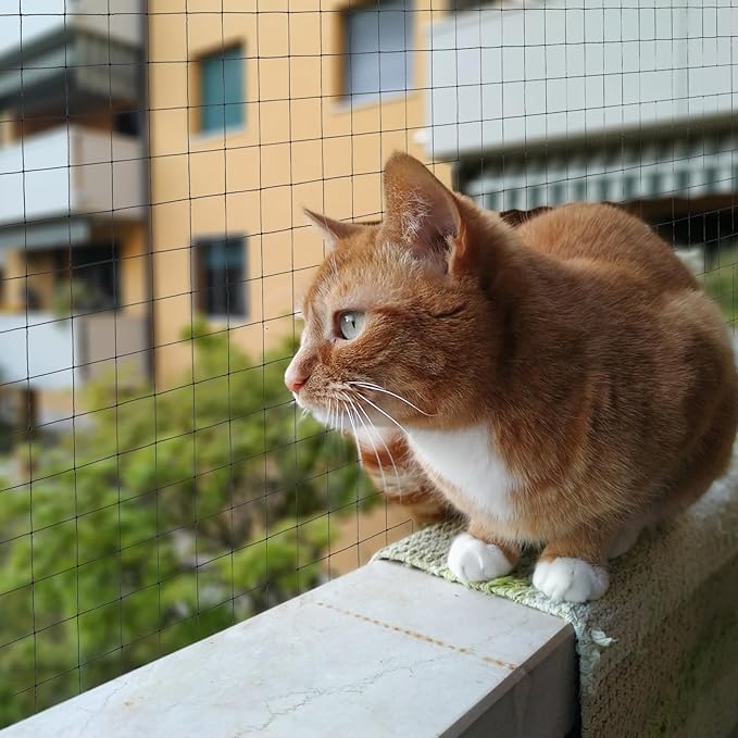 YeeBeny Cat Netting Balcony, 10x13 Ft Steel Wire Reinforced Safety Net for Cat, Cat Balcony Protection Netting, Anti-Fall Pet Balcony Netting Suitable for Balcony Window Staircase Terrace