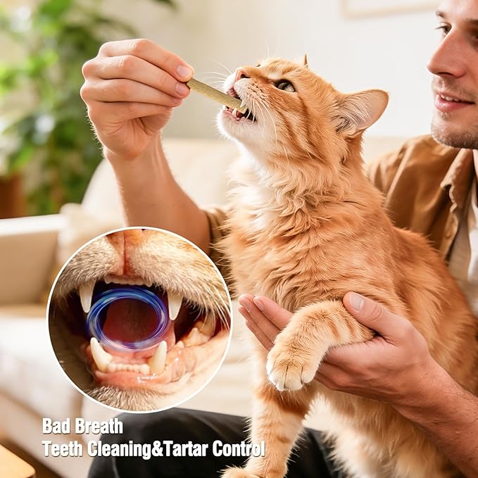 1.74oz Freezed Dried Cat Teething Sticks, Salmon Cat Chew Stick for Dental Care, Chicken Cats Treats, Feline Teeth Cleaning Snacks