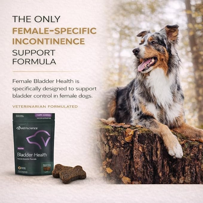 VETRISCIENCE Bladder Health Chews, Vetri Bladder Supplement for Dogs, Incontinence Support, Reduce Urine Leakage and Overactive Bladder, Soy Protein and Red Clover, Chicken, 60 Count