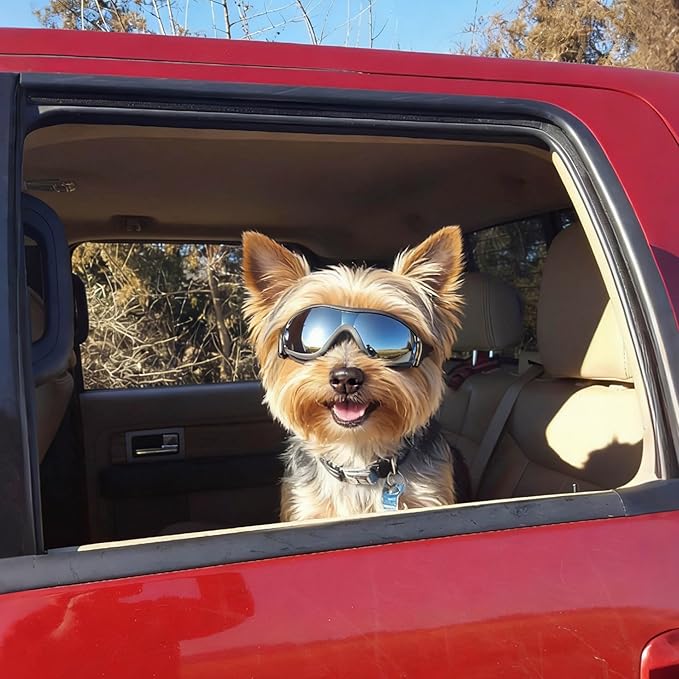 Namsan Small Dog Goggles, UV Protection Goggles for Dogs Small Breed, Puppy Sunglasses with Adjustable Straps, Windproof Dog Eye Protection for Outdoor Activities, Black