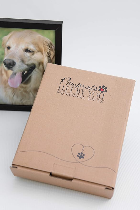 Pawprints Pet Memorial Frame with Pawprints Left by You Poem - Touching Dog Sympathy Gift for Pet Loss Remembrance (Frame With Ash Vial)