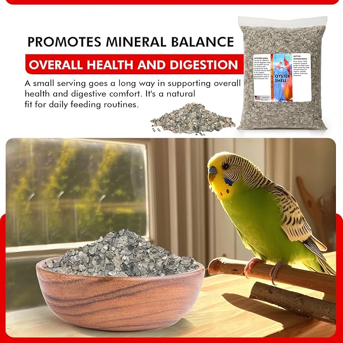 Morning Bird Oyster Shell for Birds 9 lbs - Natural Calcium Supplement – Sustainably Harvested from California Coast - Easy Add to Favorite Mix - Safe Year-Round Bird Food Additive
