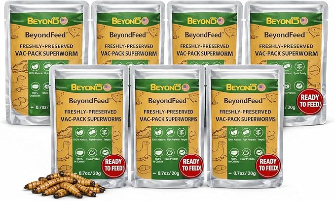 BeyondFeed™ Freshly Preserved Vac-Pack Feeder Insects – Ready-to-Feed Protein Treats for Reptiles, Birds, Fish & Aquatic Turtles (Fresh Superworm)