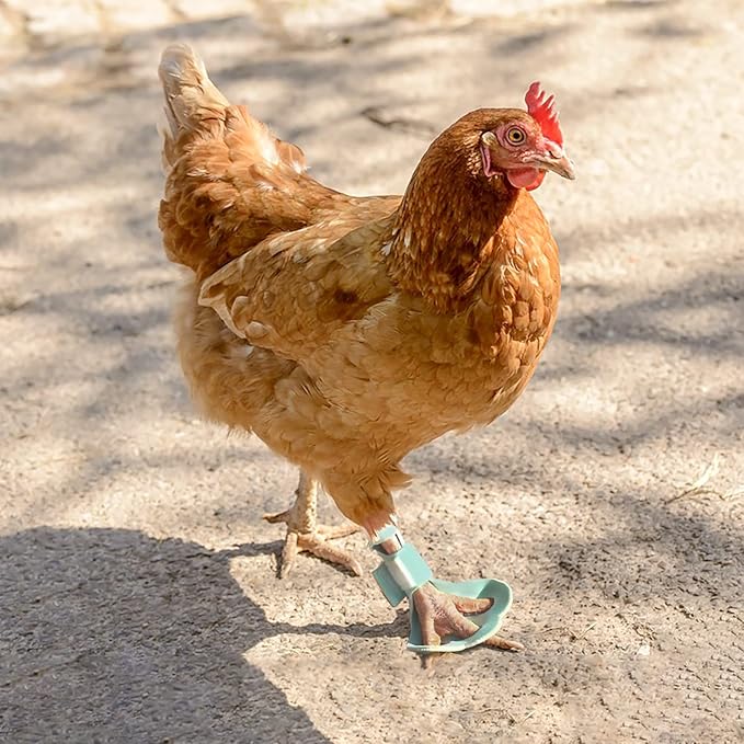2 Pack Chicken Protective Shoes for Chick Booster Hen Turkey Feet Paws Bumblefoot