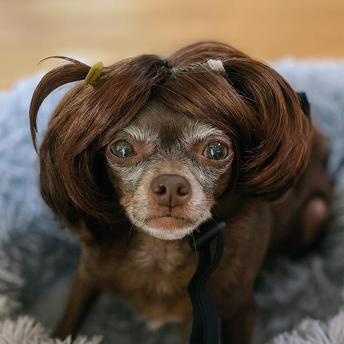 Dog Wig Pet Costumes, Cat Costume Synthetic Accessories Small Dog Headwear for Halloween Christmas Eve Festival Party Decor, Head Wear Apparel Toy (E)
