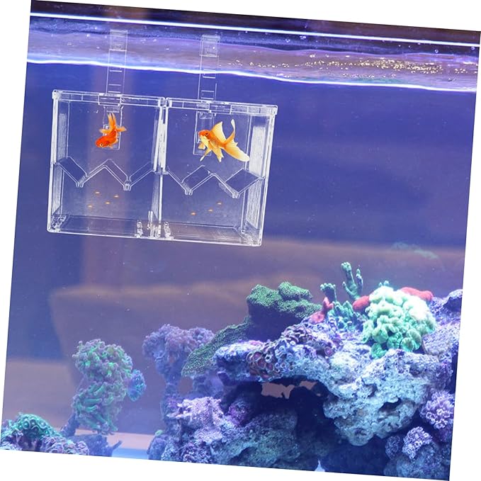 FRCOLOR 1pc Juvenile Fish Breeding Box Dual Isolation Tank Lightweight Plastic Aquarium Breeder High Transparency for Safe Fish Hatching and Separation