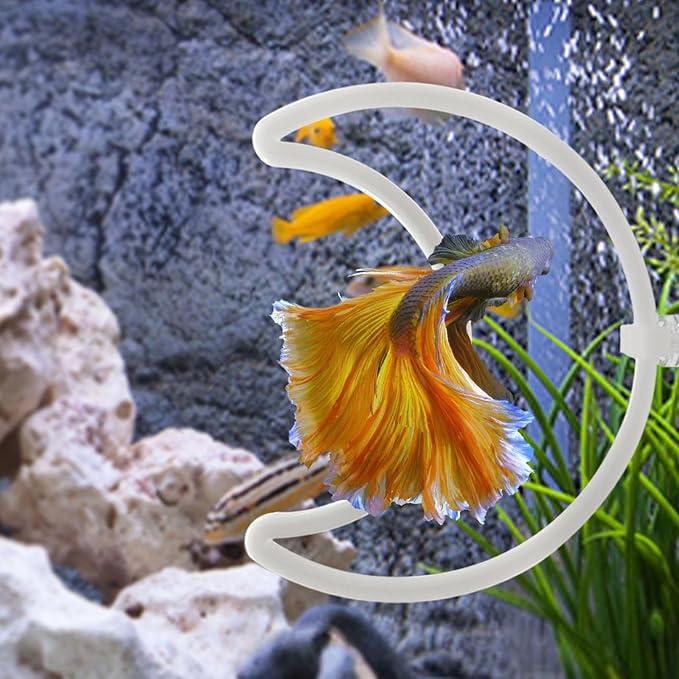 CAIJ 6Pcs Betta Exercise Ring with Suction-Cup, Betta Exercise Ring, Fish Feeding Ring, Aquarium Accessories, Betta Fish Enrichment Toys (Moon & Heart & Round)