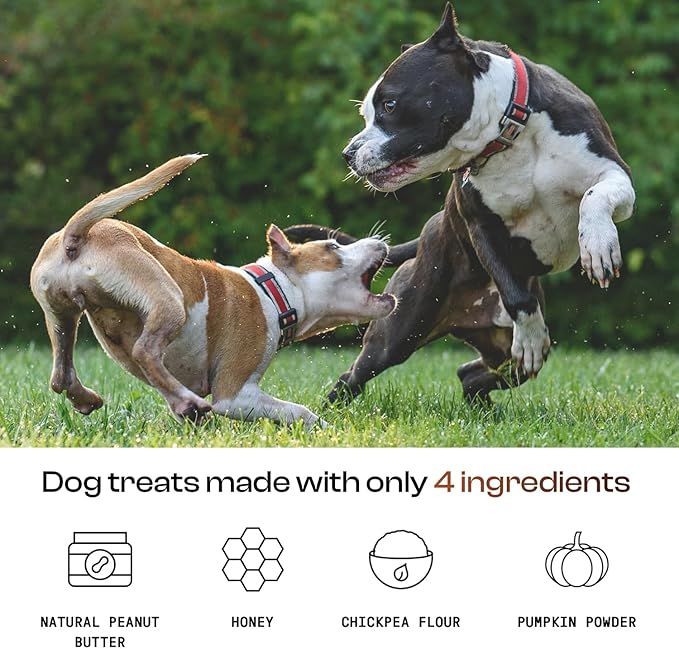 MDRNpup® Unique Dog Treats, Human Grade and All-Natural, Only Four Ingredients, High Protein - Amino Acids, Nothing Artificial, Soft Baked in The USA (13.2 Ounce, Chickpea & Pumpkin)