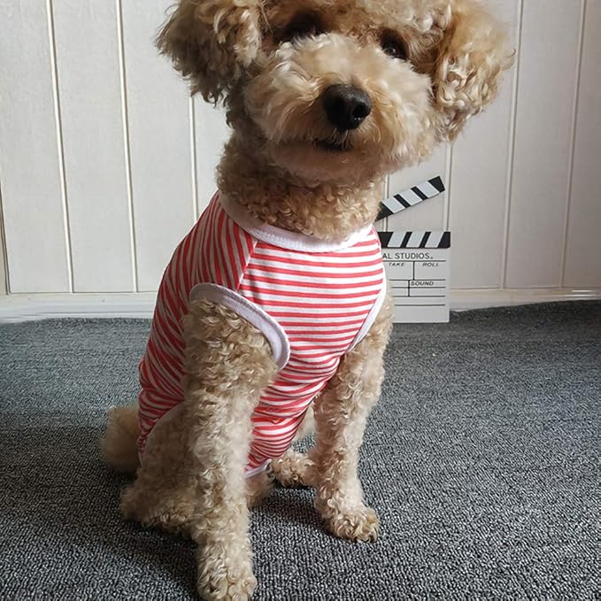 Dog’s Recovery Suit Post Surgery Shirt for Puppy, Wound Protective Clothes for Little Animals(red White Stripe-XL)
