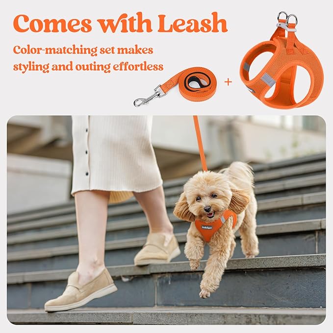rabbitgoo Dog Harness Small Sized and Leash Set, Step in Soft Light Puppy Vest, Breathable Mesh Pet Harness, Reflective for Safe Easy Walking, Orange XXS