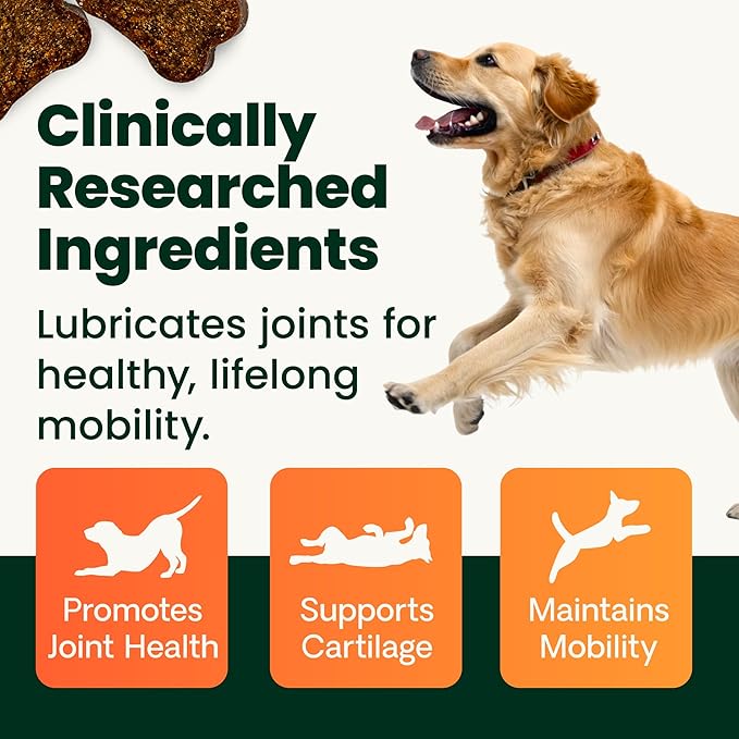 VetriScience Healthy Hip & Joint Chewable Tablets, GlycoFlex Glucosamine and Green-Lipped Mussel Joint Support Supplement for Dogs, Promote Mobility and Protect Joints, Chicken, 120 Count
