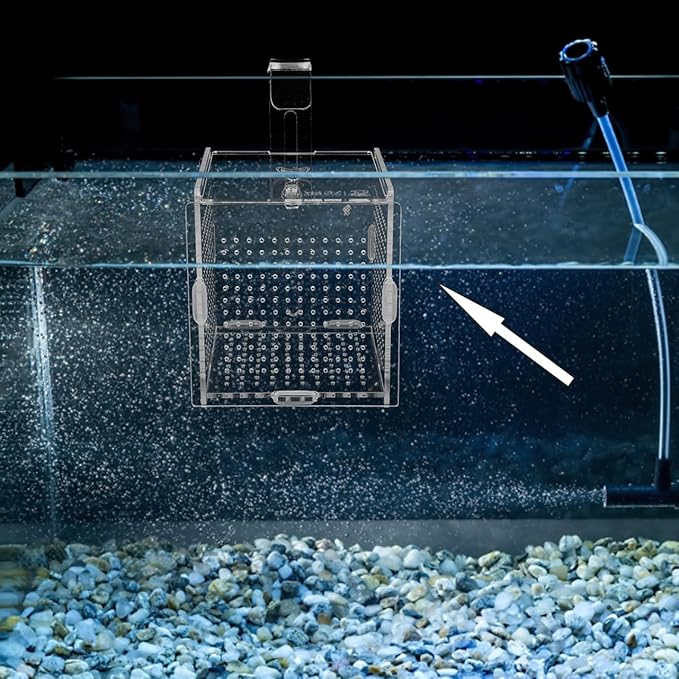 BESPORTBLE 1set Acrylic Fish Isolation Box for Aquariums Breeding Tank Divider Cups Design for Easy Observation and Sturdy for Fish Safety