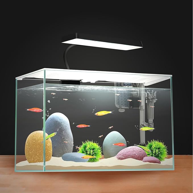 3 Gallon 12.6" L Fish Nano Glass Aquarium, with Separator Plate for Betta, Multi-Functional Square Fish Tank with Filter, LED Light, White 4mm Glass