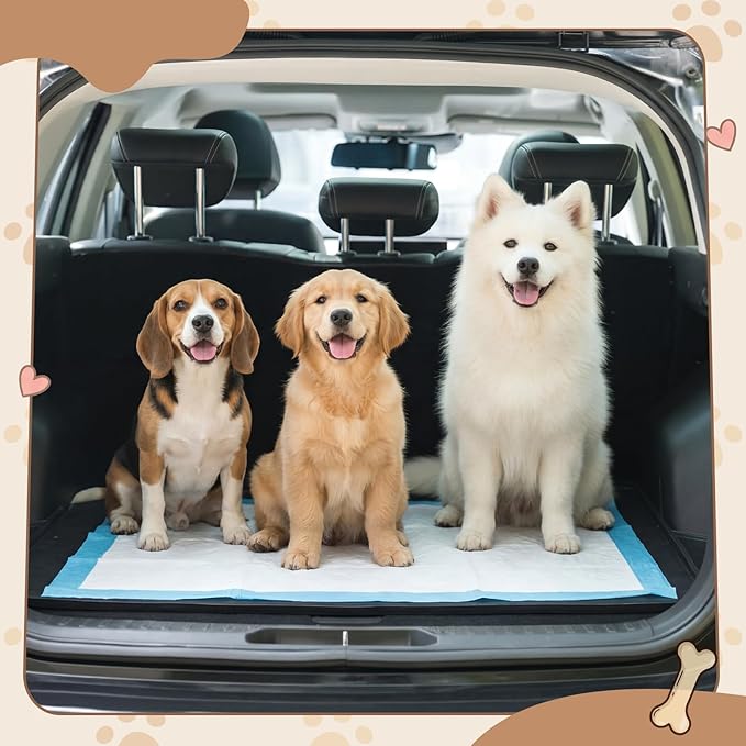 Dunzy 50" x 30" Silicone Pee Pad Holder Tray Extra Large Puppy Pee Pad Holder, Raised Edges, Non Slip Leak-Proof Urine Potty Tray for Indoor Flooring Protection Training