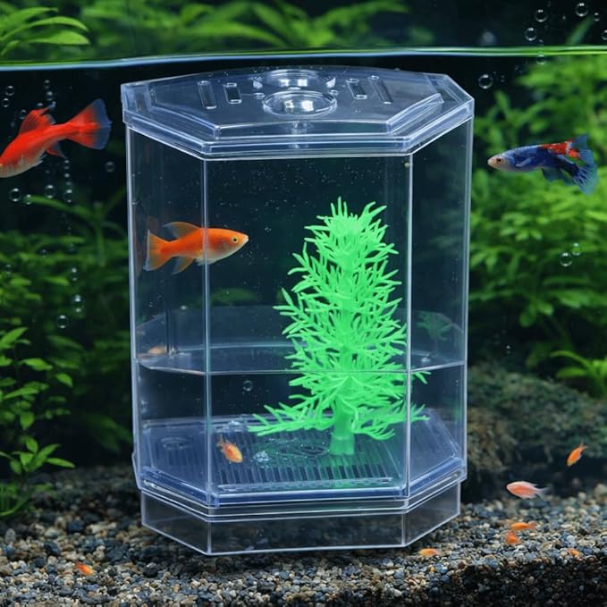 Mini Fish Breeding Box Acrylic Isolation Tank with Dirt Groove for Aquarium Fish Observation and Protection(Single)