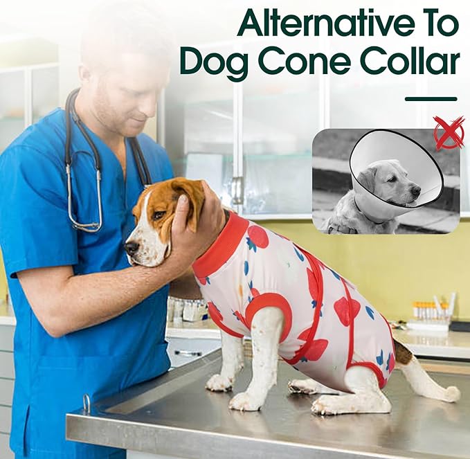 Kuoser Recovery Suit for Dogs After Surgery, Dog Surgical Recovery Suit Female Male Spay Neuter, Anti-Licking Dog Onesie for Abdominal Wounds Skin Disease, Pet Surgery Bodysuit Cone Alternative, XS