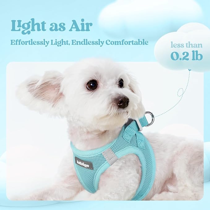 rabbitgoo Dog Harness Small Medium Sized and Leash Set, Step in Soft Light Puppy Vest, Breathable Mesh Pet Harness, Reflective for Safe Easy Walking, Mint Blue L