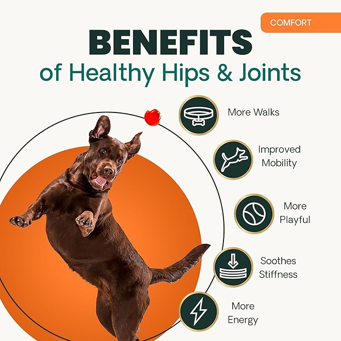 VetriScience Extra Strength Healthy Hip & Joint Chews, GlycoFlex Glucosamine & Green-Lipped Mussel Support Supplement for Dogs, Promote Mobility & Soothe Joint Discomfort, Chicken, 3 Pack