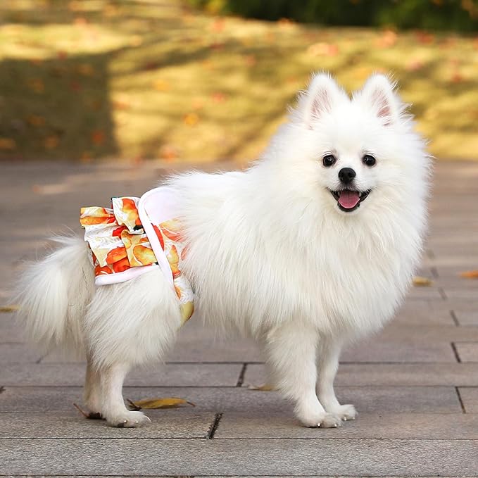 Dog Diapers Washable (3 Pack), Reusable Female Dog Diapers Highly Absorbent for Heat, Incontinence, XS