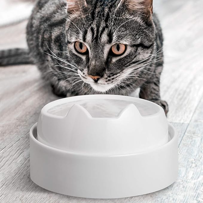 CatGuru Whisker Stress Free Cat Water Bowl, Reliefs Whisker Fatigue, Wide Cat Dish, Non Slip Pet Feeding Bowl, Shallow Pet Food Water Bowls, Non Skid Bowls for Cats (Marshmallow)